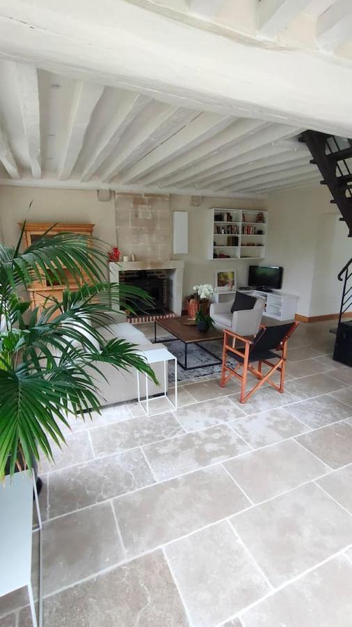 Chateau Des Nouies Villa Selles sur Cher Bagian luar foto