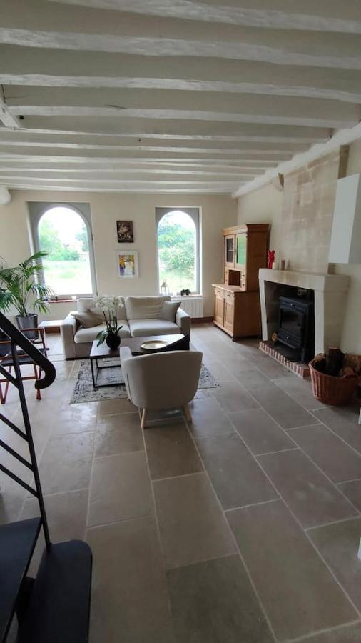Chateau Des Nouies Villa Selles sur Cher Bagian luar foto