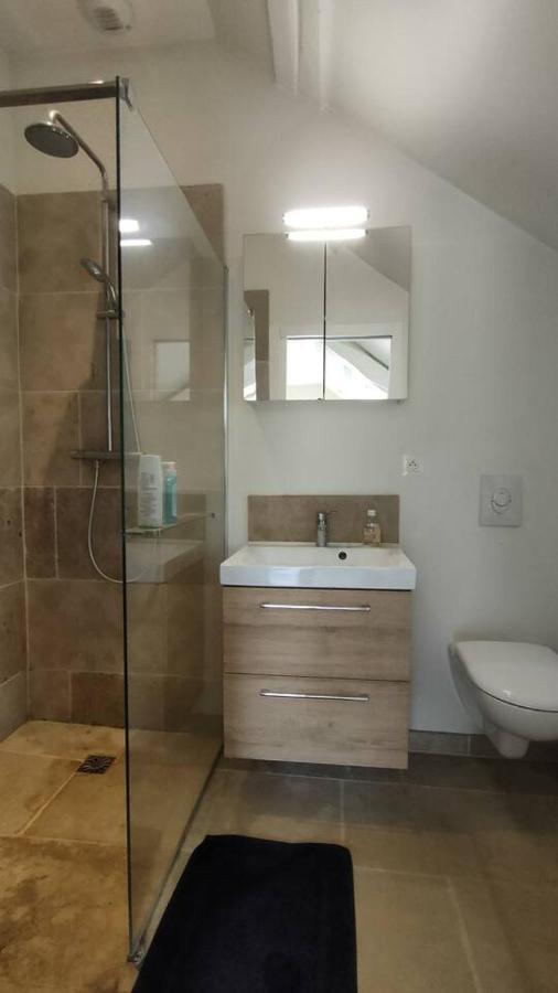 Chateau Des Nouies Villa Selles sur Cher Bagian luar foto
