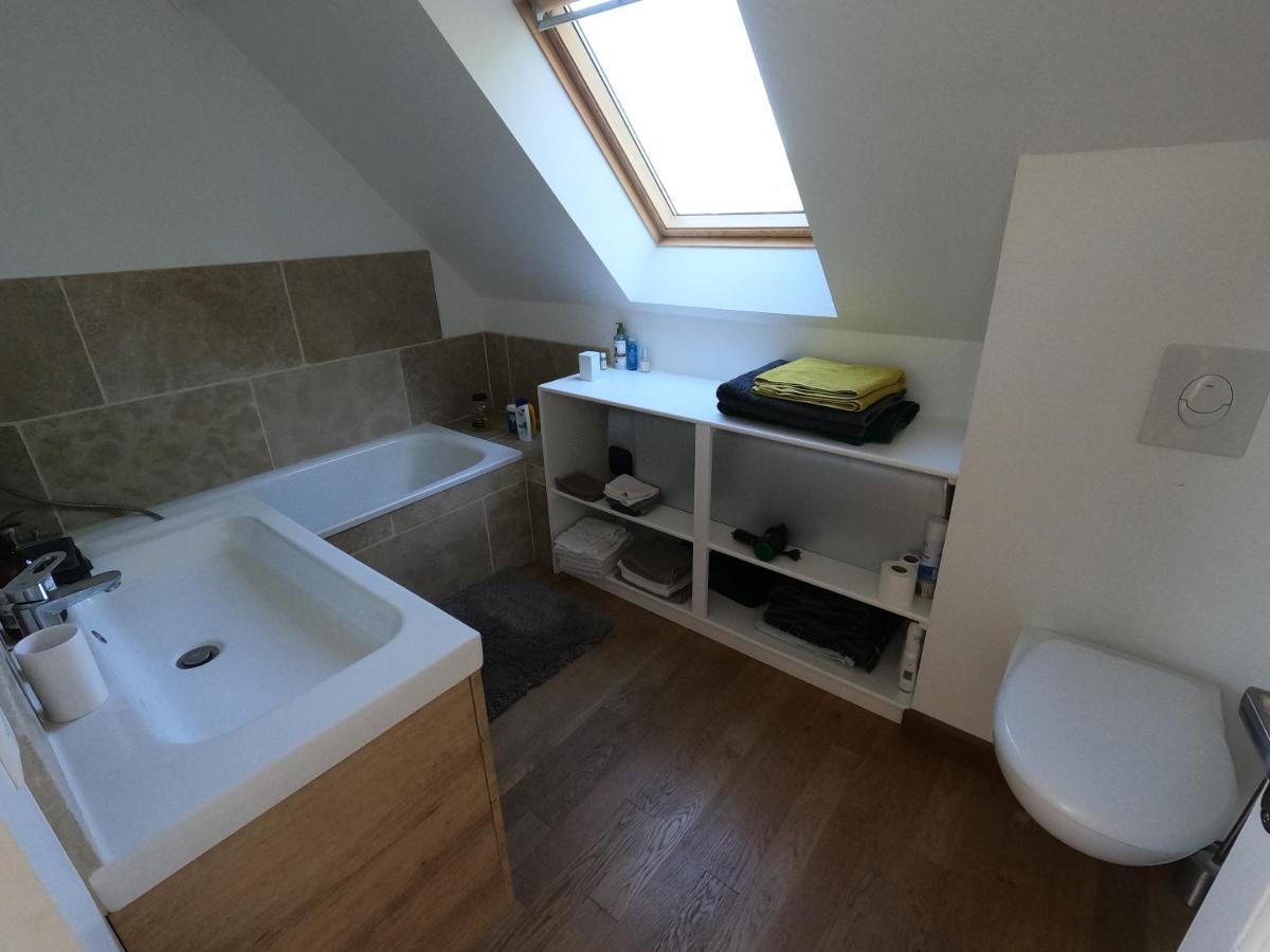 Chateau Des Nouies Villa Selles sur Cher Bagian luar foto