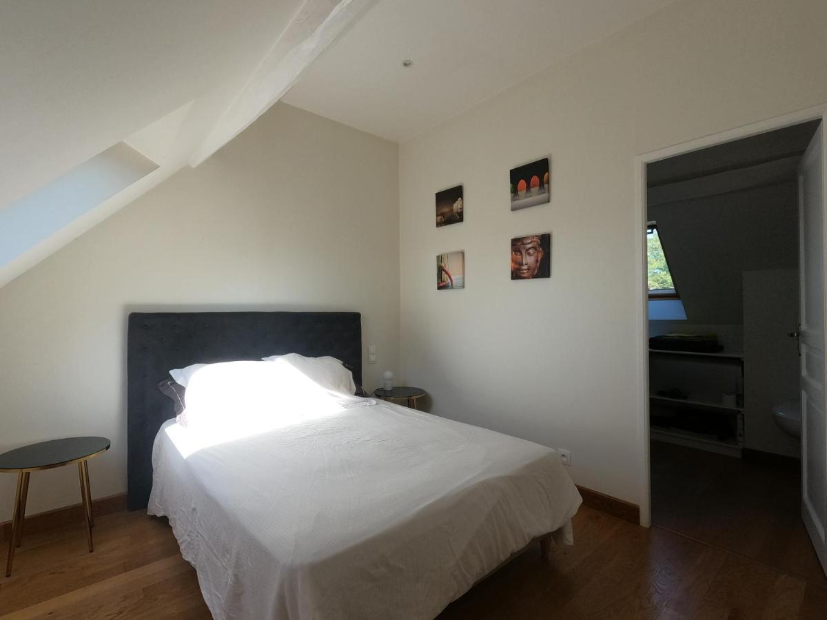 Chateau Des Nouies Villa Selles sur Cher Bagian luar foto
