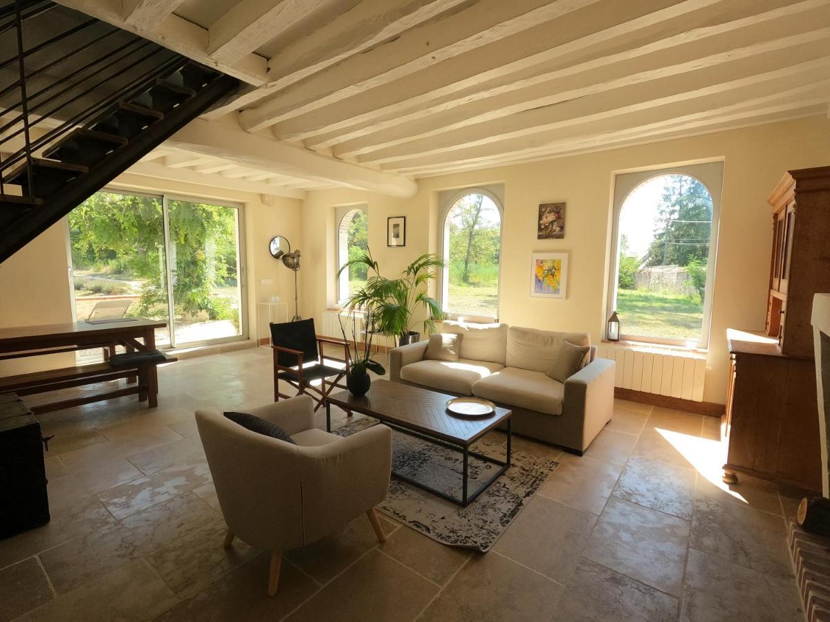 Chateau Des Nouies Villa Selles sur Cher Bagian luar foto