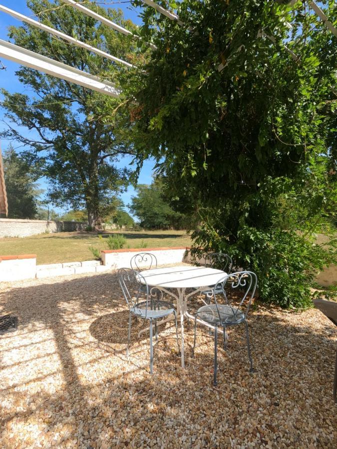 Chateau Des Nouies Villa Selles sur Cher Bagian luar foto